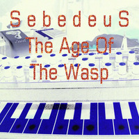 Sebedeus - Here In Body (No Quality Control) - 02 The Age of Wasp by Sebedeus