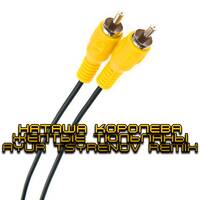 Наташа Королёва — Жёлтые тюльпаны (Ayur Tsyrenov remix) by Vitali Becker