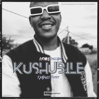 Kushubile (feat. Thamie Skort) by Konka Milano