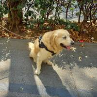 podcast 24 Chill by LE MATOU