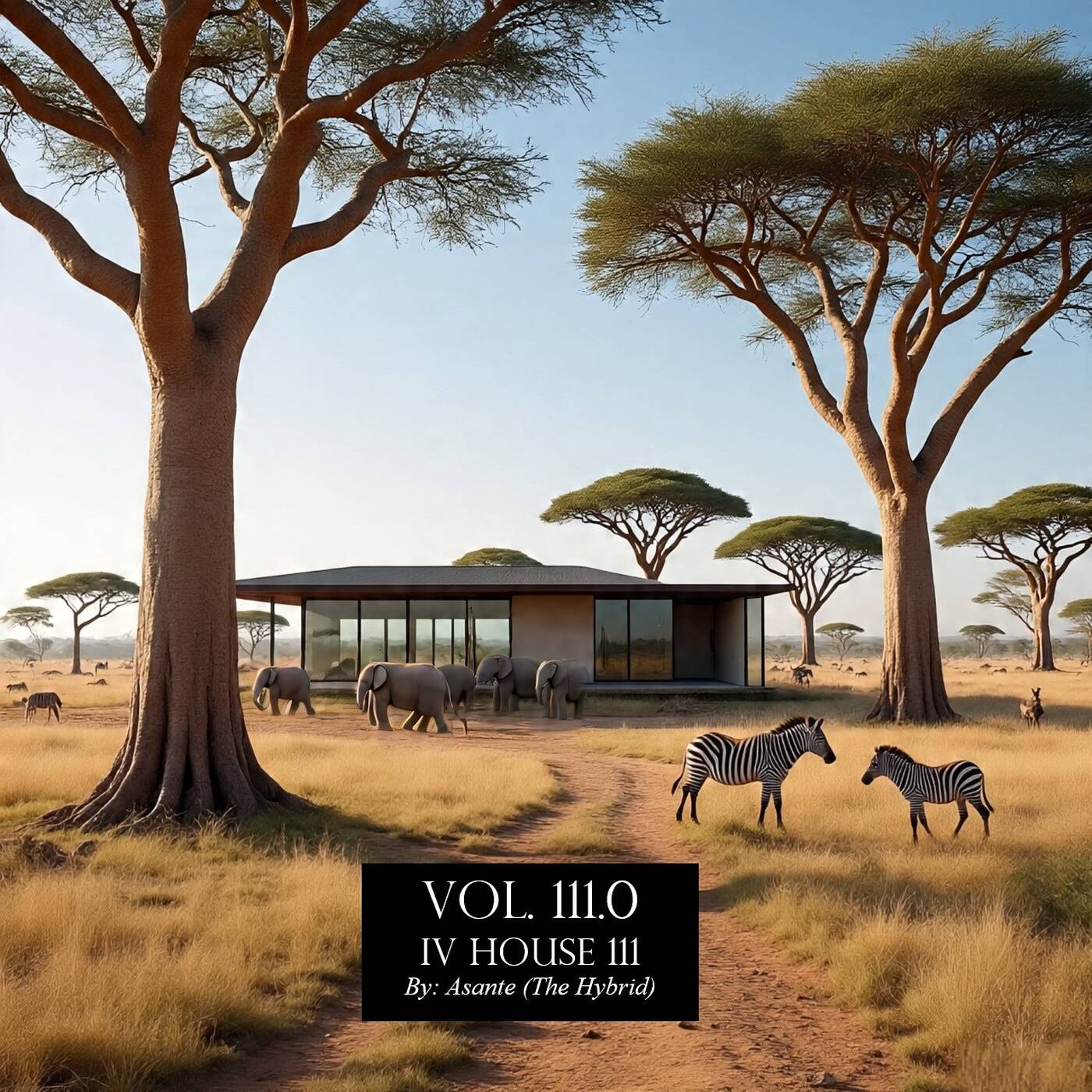 Virtual Session Vol.111.0 (IV House 111) episode artwork