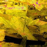 Fin d'été by Gérard Delassus