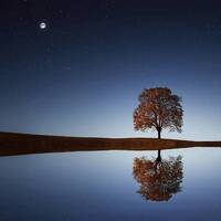 Drone - Most Beautiful by Andris Rauda