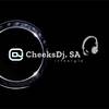 Cheeksdj.S.A. Nkotsi