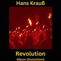 Revolution by Hans Krauß