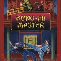 Kung Fu Master by Don Stone