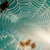 Mundo Mix Radio 180 by DJ João Machado