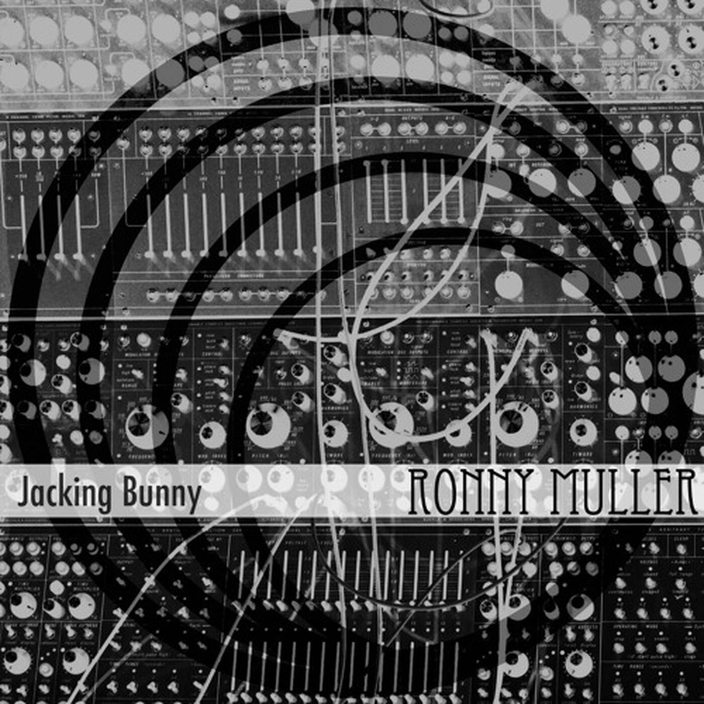 Ronny Muller - Jacking Bunny // To Love House episode artwork