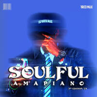 SOULFUL AMAPIANO MIX (3rd Edition '25) by Fred Max