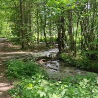 Folk Sheet Music / Volksmusik - Trio