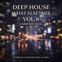 Deep House What Else MIX! VOL. 6 (February 2026) by Afro House Late Evening MIX