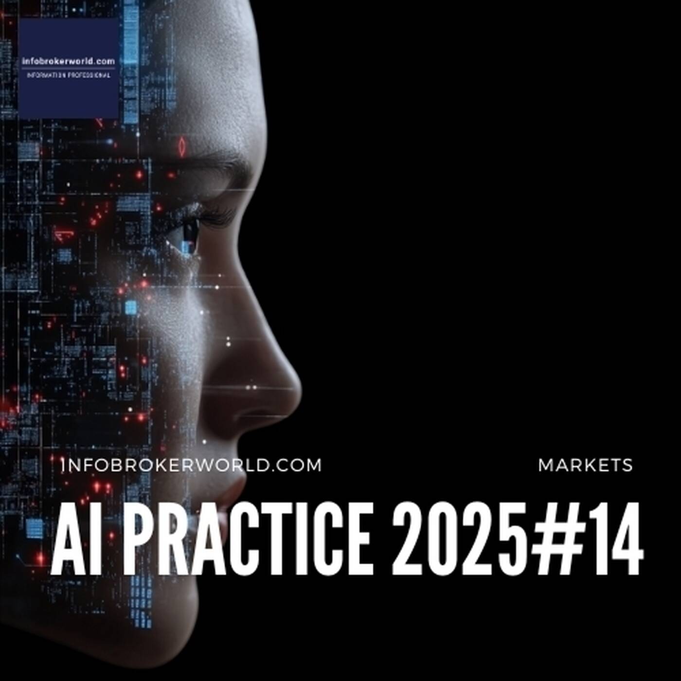 AI Practice – 2025#14 – Artificial Intelligence in Industries and Markets across Germany and Europe episode artwork