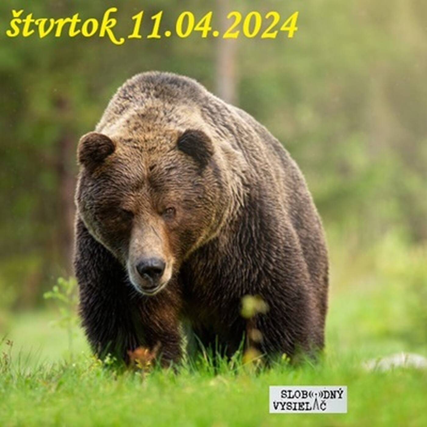 V prvej línii - 2024-04-11 Pavol Zacharovský a Rudolf Huliak episode artwork