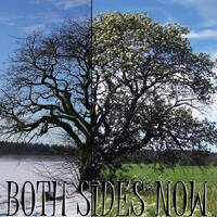 Both Sides Now - Country &amp; Folk by Old Timer in Isan