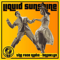 Mellow Boogie House - Do It, If U Like - Liquid Sunshine @ The Face Radio - Show #189 by Liquid Sunshine