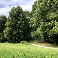 Walk With Me by Solvej von Malmborg