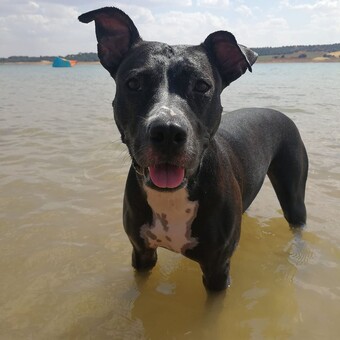 Nikola Srncov&aacute;