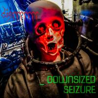 Disrrr - Downsized by Illness Sufferer Records