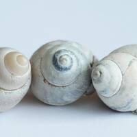 Mundo Mix Radio 204 (20-01-2023) by DJ João Machado