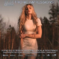 Electronic Impressions 964 with Danny Grunow by Danny Grunow