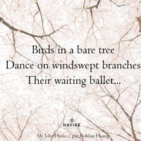 Sam Slattery - Birds in a bare tree (naviarhaiku476) Sam Slattery by Naviar