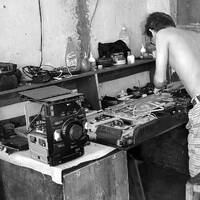 Premium Deluxe Jungle by TMP