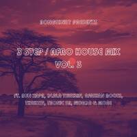 3 Step Afro House Mix Vol. 3 Ft. Bun Xapa, Dlala Thukzin, Afrikan Roots, Thakzin, Tronic SA, MÖRDA &amp; More by bongzin87