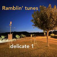 Ramblin' Tunes - delicate 1 by Pat