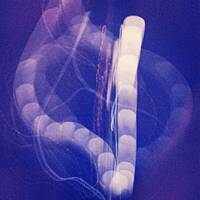 John Jastszebski - Exclusive Nightflight Guest Mix - 10.12.13 by Tobias Koch - Nightflight - Radio FRITZ