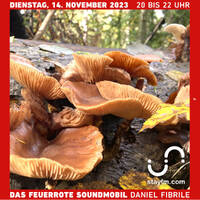 Das Feuerrote Soundmobil Nr, 54 by Daniel 'Fibrile' Fiebig