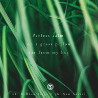 Haiku #141: perfect calm / on a grass pillow / far from my hut