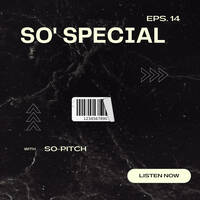Episode 14 by So-Pitch