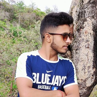 ਵਿਸ਼ਾਲ ਆਨੰਦਗੜੀਆ