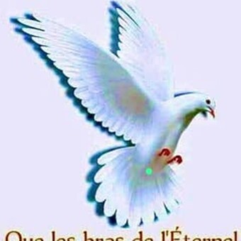 Fran&ccedil;ois Behanzin