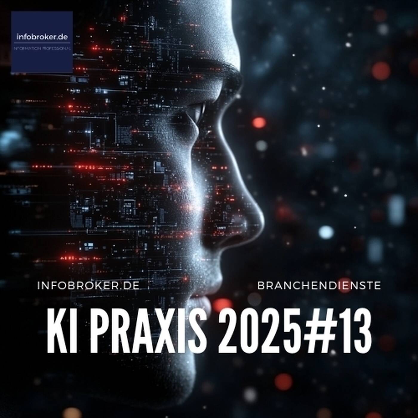 KI Praxis – 2025#13 – Künstliche Intelligenz in Branchen und Märkten episode artwork
