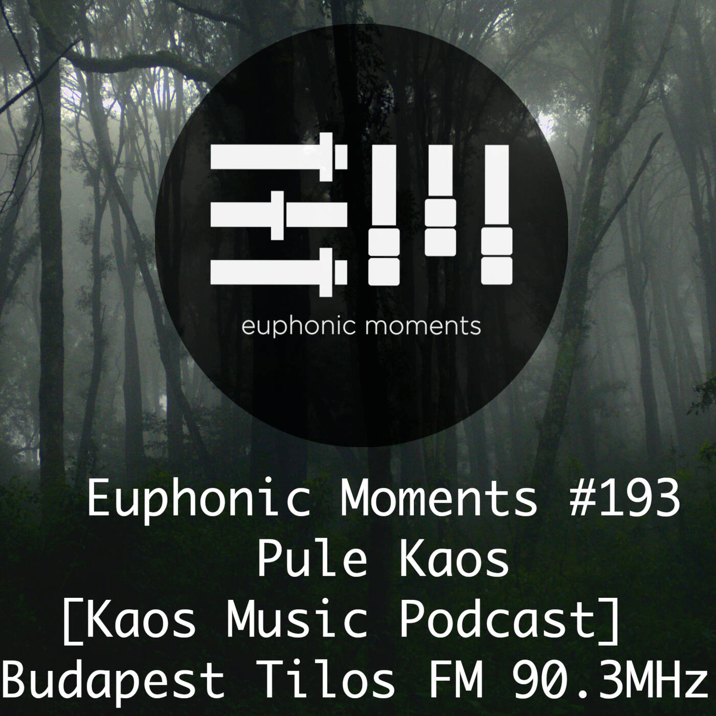 Euphonic Moments # 193 Pule Kaos [Kaos Music Pocast] ● Budapest Tilos FM 90.3 MHz episode artwork