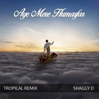Aye Mere Humsafar (Tropical House Remix) Shaggy D by Shaggy D