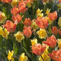 April #2016 #trance #electro #house 3 by Paul Cassella aka Djdealeyo