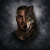 toniwolf.hard