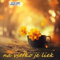 Na v&scaron;etko je liek