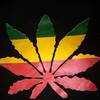 Blacktribe BiadBwoy Insyder
