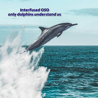 InterFused 050 - Only Dolphins Understand Us by Major Arcana Media