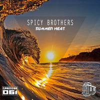 Spicy Brothers -  Here In The Sun by Caboose Records