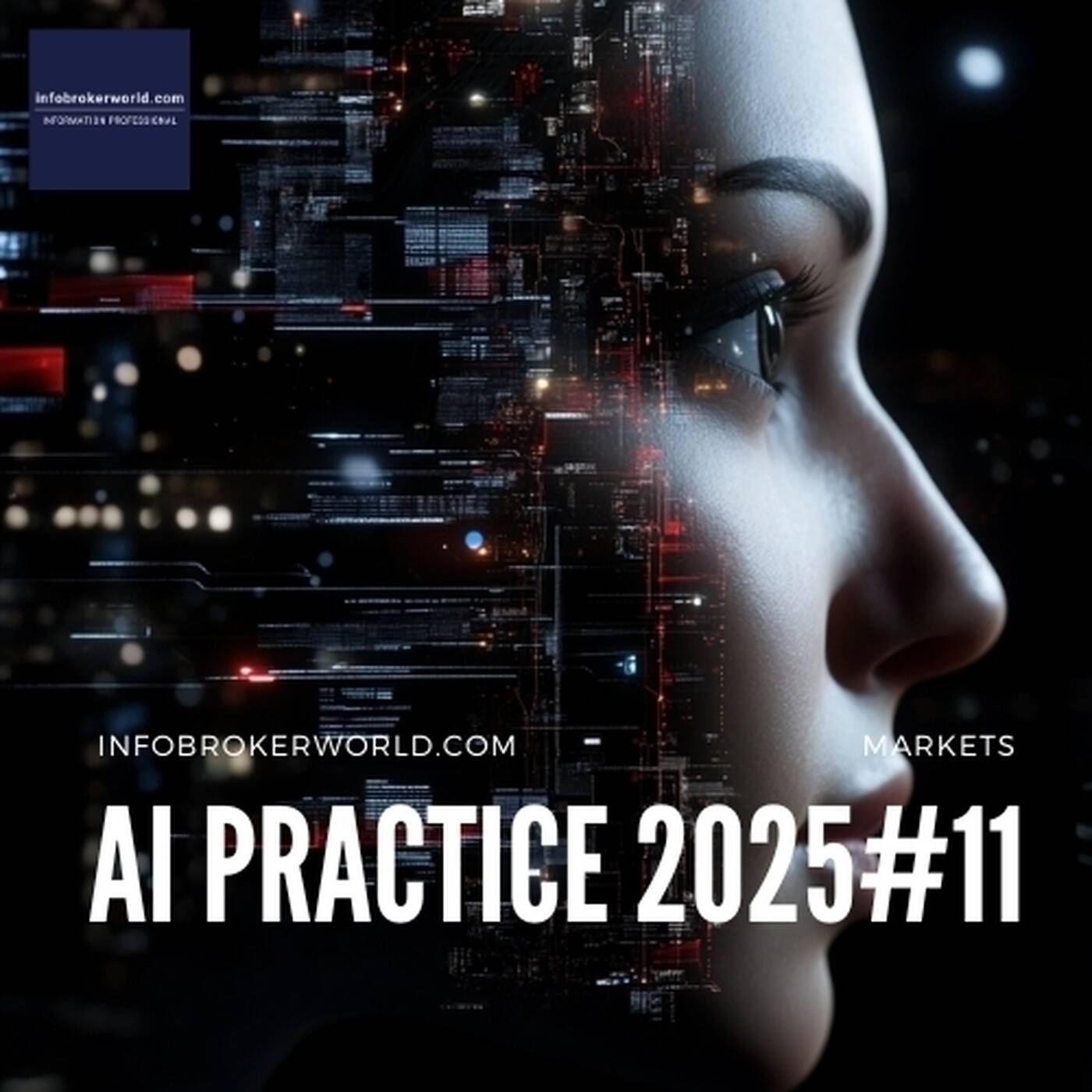 AI Practice – 2025#11 – Artificial Intelligence in Industries and Markets across Germany and Europe episode artwork