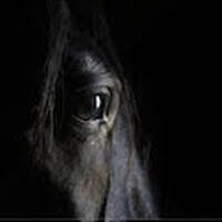 Mmmmm by Jack2nantes