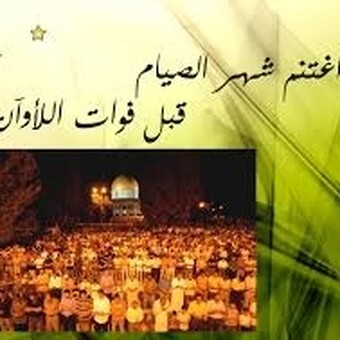 محمد عوض الله