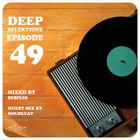 Deep Selektionz episode49 mixed by Sebitjo by Deep Selektionz