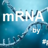 mRNA - by #pauLab by Paula P'Cay