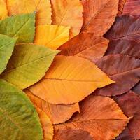 Mundo Mix Radio 214 (31-03-2023) by DJ João Machado