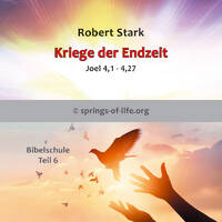 6B Kriege der Endzeit by Lighthouse21